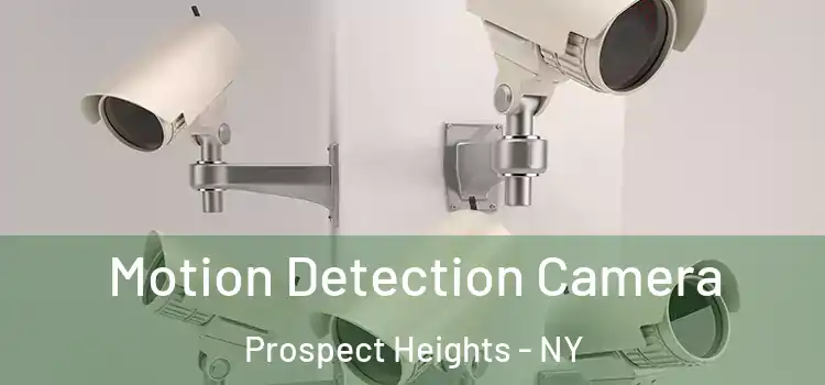  Motion Detection Camera Prospect Heights - NY
