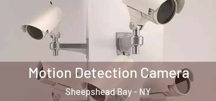  Motion Detection Camera Sheepshead Bay - NY