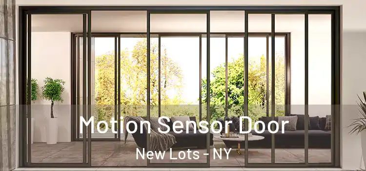 Motion Sensor Door New Lots - NY