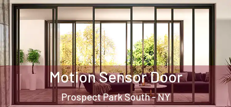  Motion Sensor Door Prospect Park South - NY