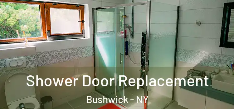 Shower Door Replacement Bushwick - NY