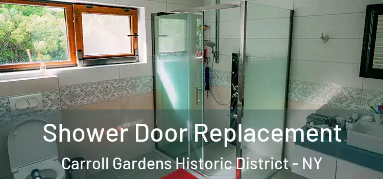 Shower Door Replacement Carroll Gardens Historic District - NY