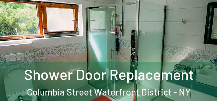 Shower Door Replacement Columbia Street Waterfront District - NY