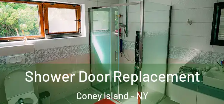  Shower Door Replacement Coney Island - NY