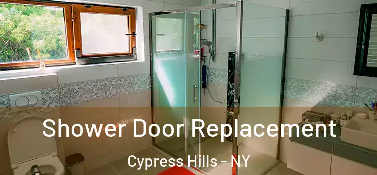 Shower Door Replacement Cypress Hills - NY