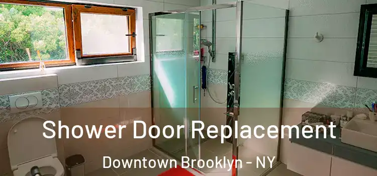  Shower Door Replacement Downtown Brooklyn - NY
