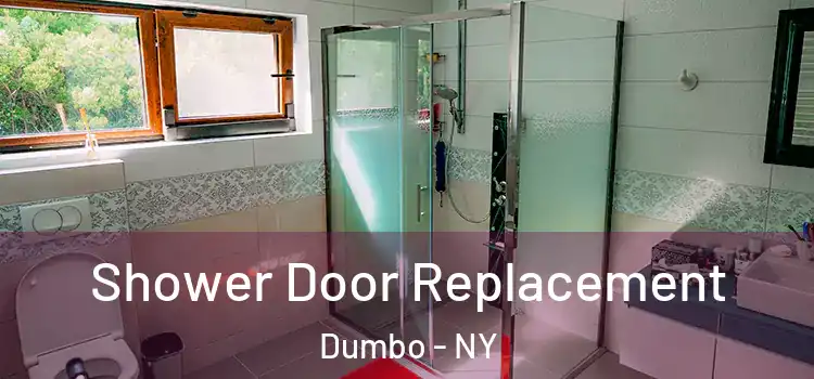  Shower Door Replacement Dumbo - NY