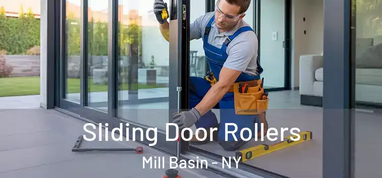 Sliding Door Rollers Mill Basin - NY