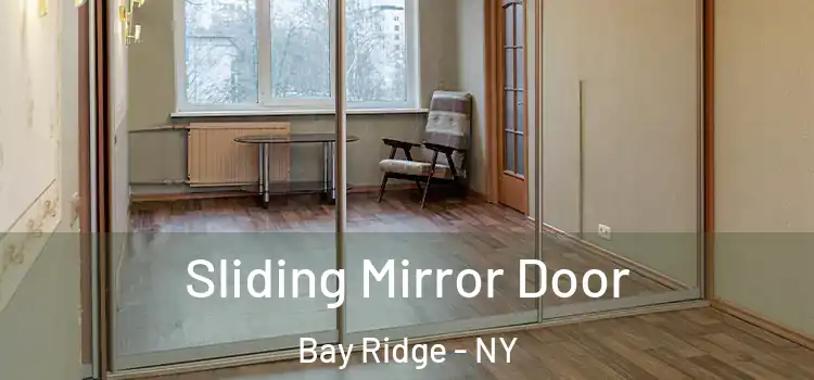  Sliding Mirror Door Bay Ridge - NY