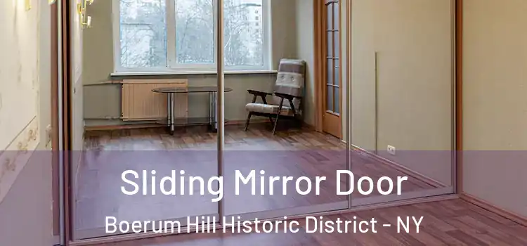  Sliding Mirror Door Boerum Hill Historic District - NY