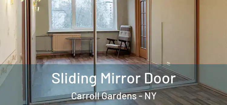  Sliding Mirror Door Carroll Gardens - NY