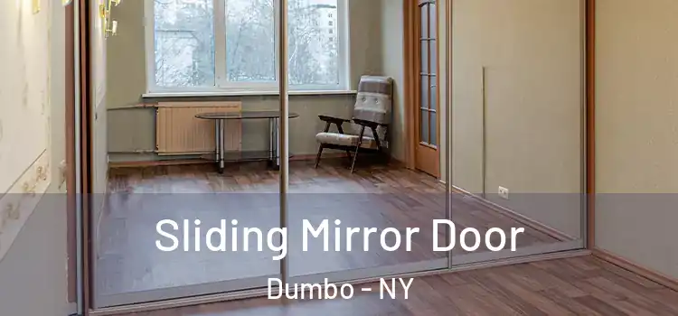  Sliding Mirror Door Dumbo - NY