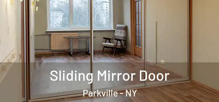  Sliding Mirror Door Parkville - NY