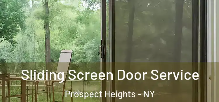 Sliding Screen Door Service Prospect Heights - NY